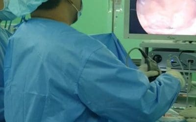 Trained in Busan: The BESS Initiative